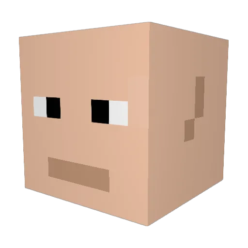 Chaini1 Minecraft avatar head, 3D render