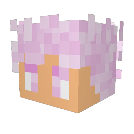 Chainsawmonkey1 Minecraft avatar head, 3D render