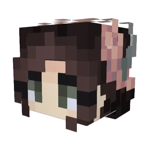 Chairman__Meow Minecraft avatar head, 3D render