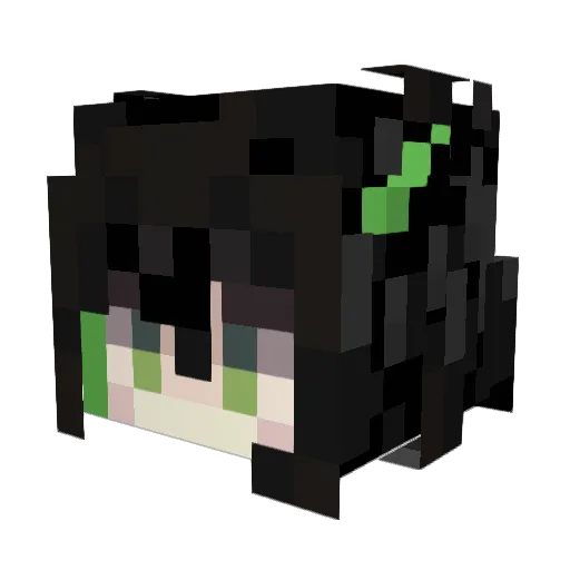 Chako_love Minecraft avatar head, 3D render