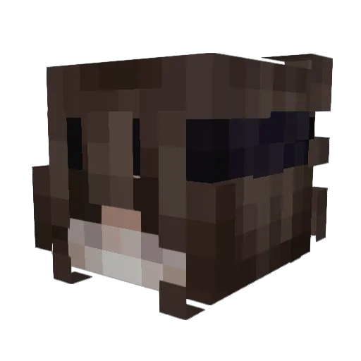 Chali666 Minecraft avatar head, 3D render