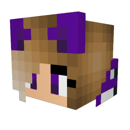 Chalk_Ninja_60 Minecraft avatar head, 3D render
