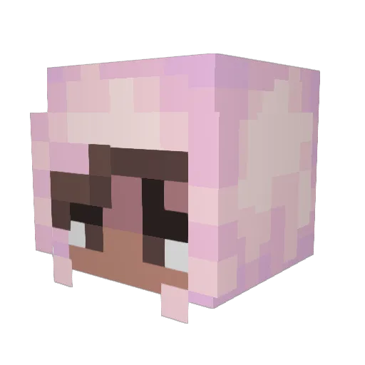 Chamb3r_ Minecraft avatar head, 3D render
