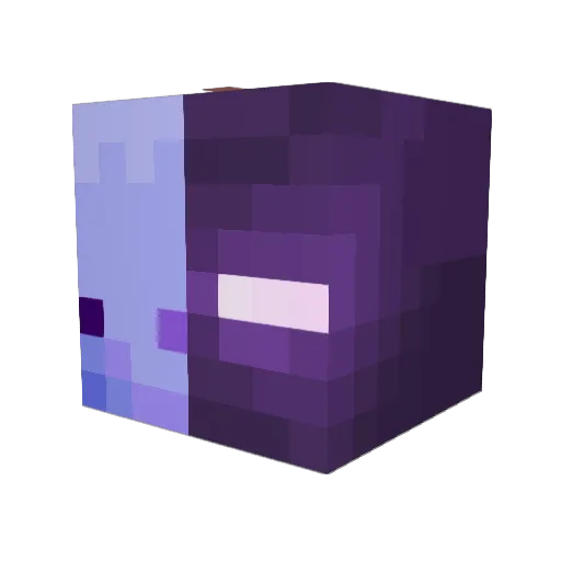 Chameleon_boi Minecraft avatar head, 3D render