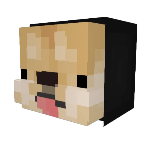 Chammy1 Minecraft avatar head, 3D render