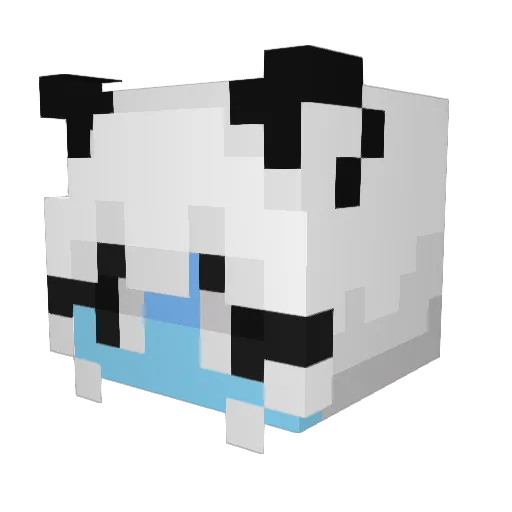 ChamomileEnjoyer Minecraft avatar head, 3D render