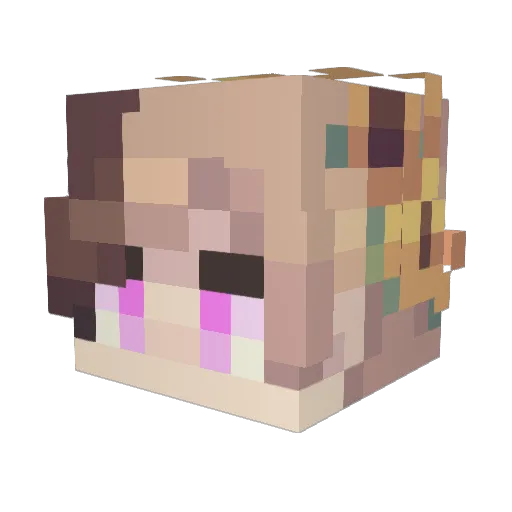 ChamomileT Minecraft avatar head, 3D render