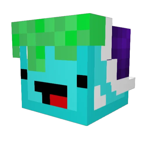 Chamomile_kid Minecraft avatar head, 3D render