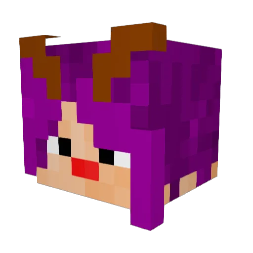 ChampFrazaReduce Minecraft avatar head, 3D render