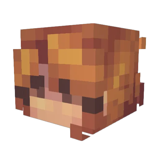ChampUltra Minecraft avatar head, 3D render