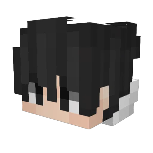 Champ_____ Minecraft avatar head, 3D render