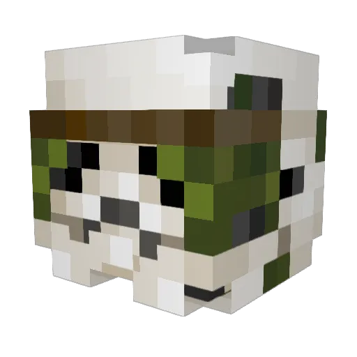 Champagne1776 Minecraft avatar head, 3D render