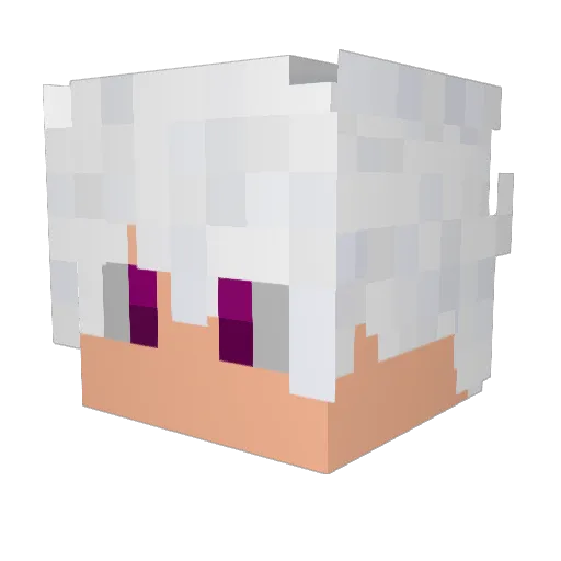 Champanhe Minecraft avatar head, 3D render