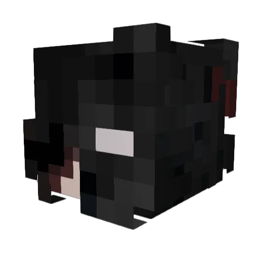 ChampionOfDeath Minecraft avatar head, 3D render
