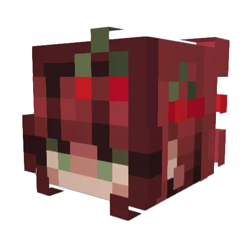 ChamporadoCXII Minecraft avatar head, 3D render