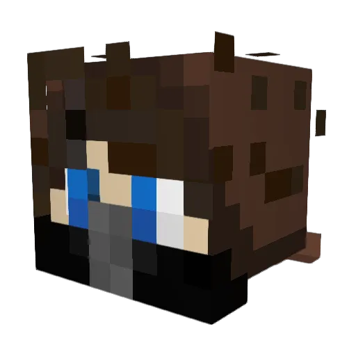 Champy269 Minecraft avatar head, 3D render
