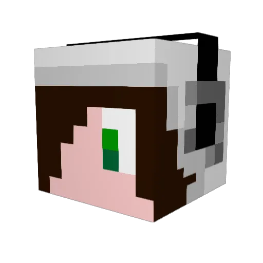 Chamugia Minecraft avatar head, 3D render