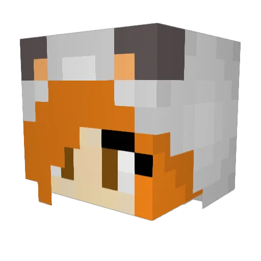 ChanGrace Minecraft avatar head, 3D render