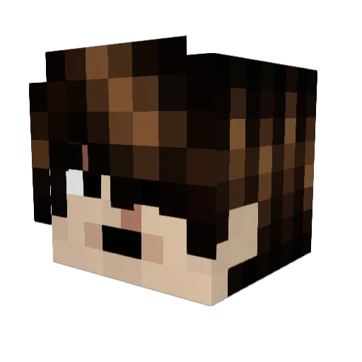 Chan_Awesome Minecraft avatar head, 3D render