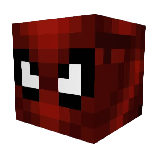 Chan_Tart_HK Minecraft avatar head, 3D render