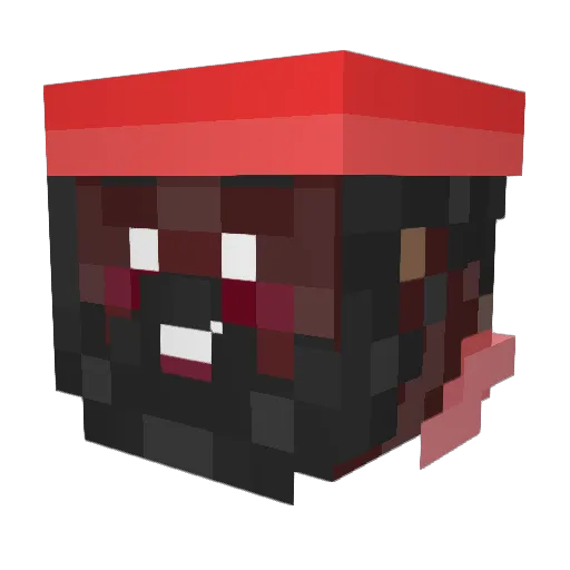 Chan_sol Minecraft avatar head, 3D render