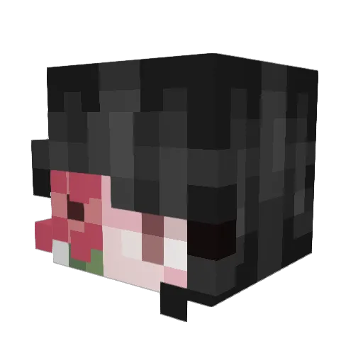 Chance_Is_Taken Minecraft avatar head, 3D render