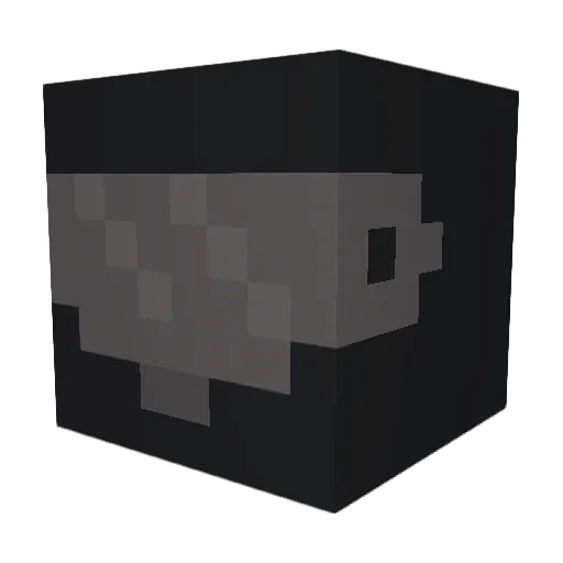 Chance_chan Minecraft avatar head, 3D render