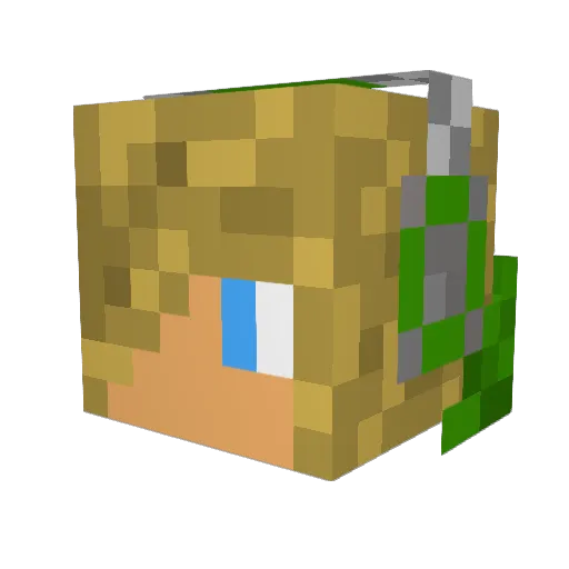 Chanchilla Minecraft avatar head, 3D render
