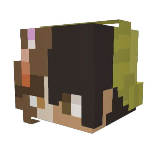 Chane1i Minecraft avatar head, 3D render