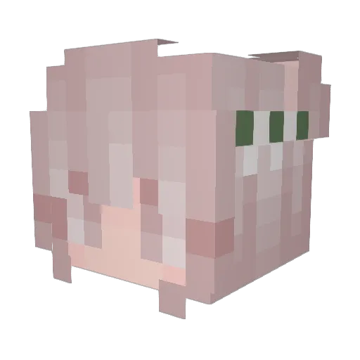 ChangingTides Minecraft avatar head, 3D render
