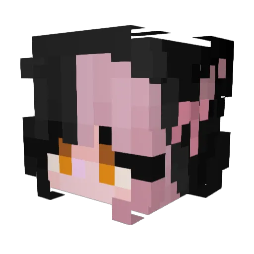 Chanitas311 Minecraft avatar head, 3D render