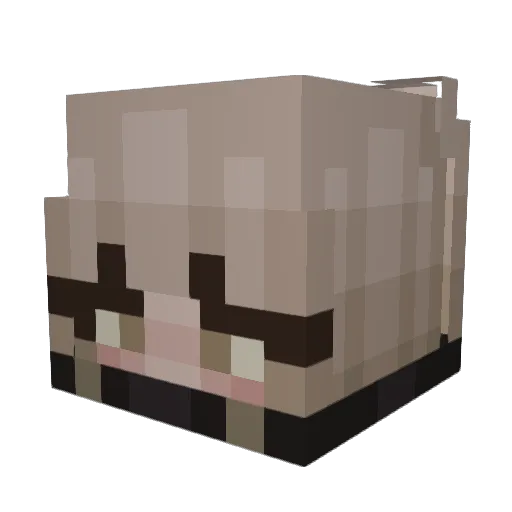 Chanzito Minecraft avatar head, 3D render