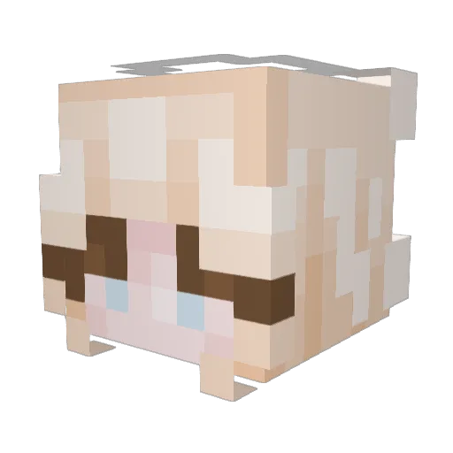 Chanzolina Minecraft avatar head, 3D render