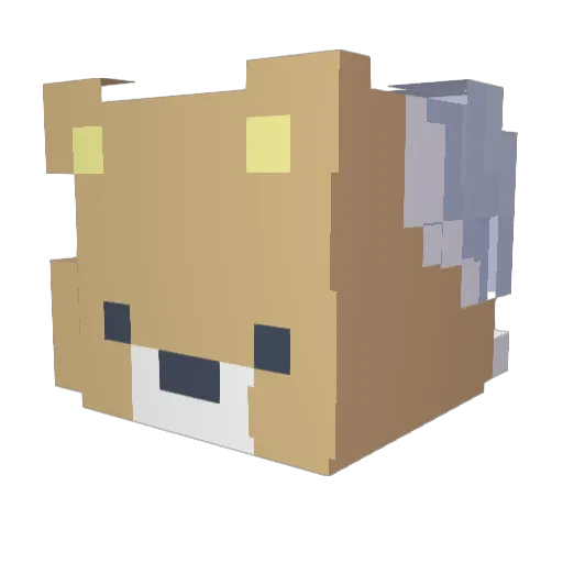 Chaomyth Minecraft avatar head, 3D render