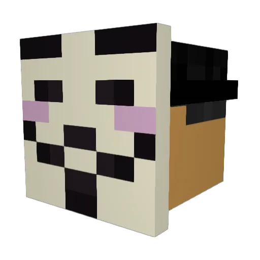 Chaoosmaster Minecraft avatar head, 3D render