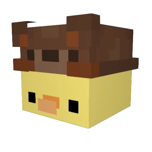 Chaorui Minecraft avatar head, 3D render