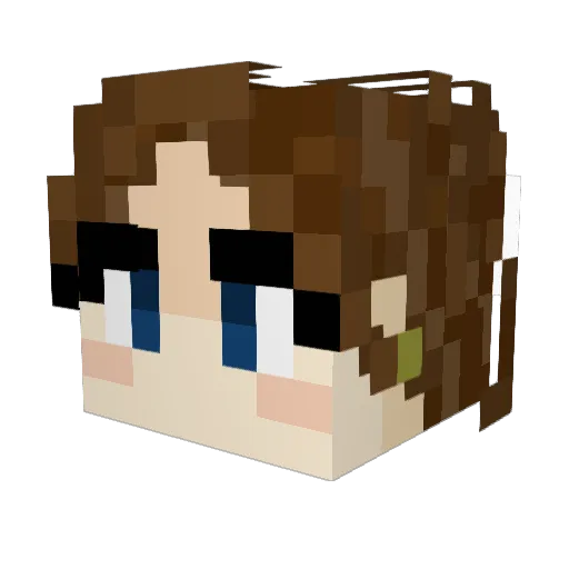 ChaosCarrot Minecraft avatar head, 3D render
