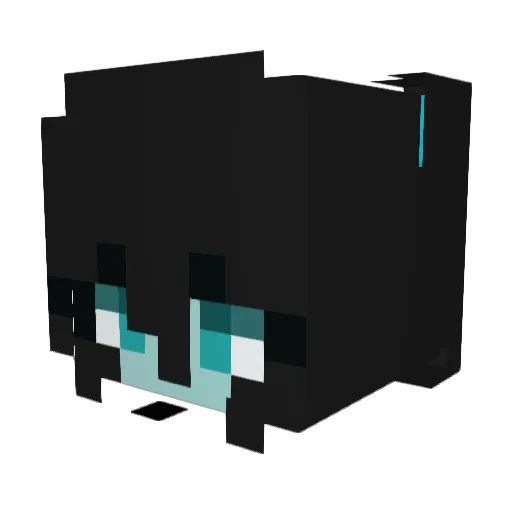 ChaosChanger22 Minecraft avatar head, 3D render