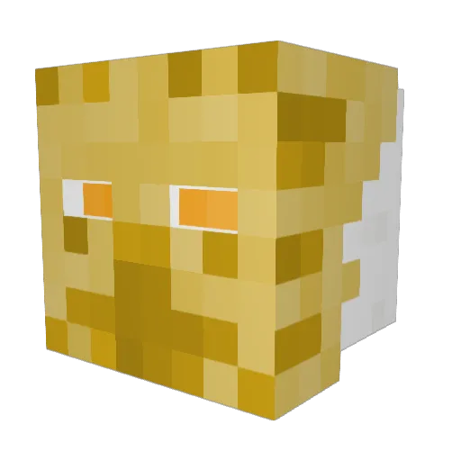 ChaosCharza Minecraft avatar head, 3D render