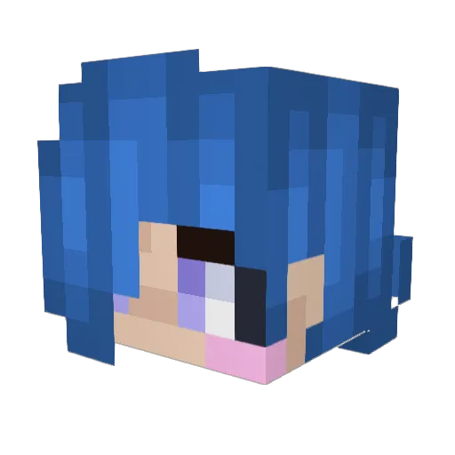 ChaosCreator120 Minecraft avatar head, 3D render