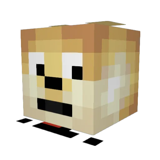 ChaosFlo256 Minecraft avatar head, 3D render