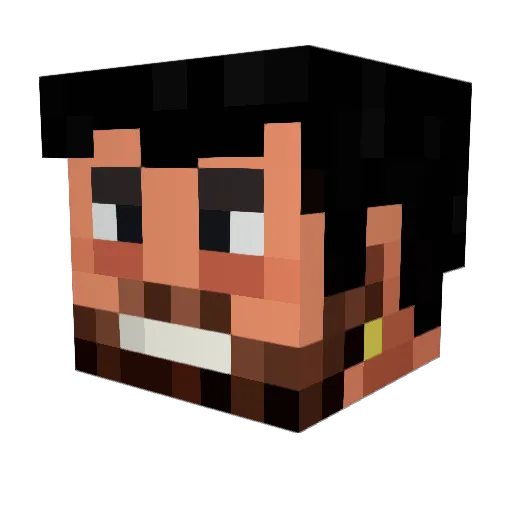 ChaosMemis Minecraft avatar head, 3D render