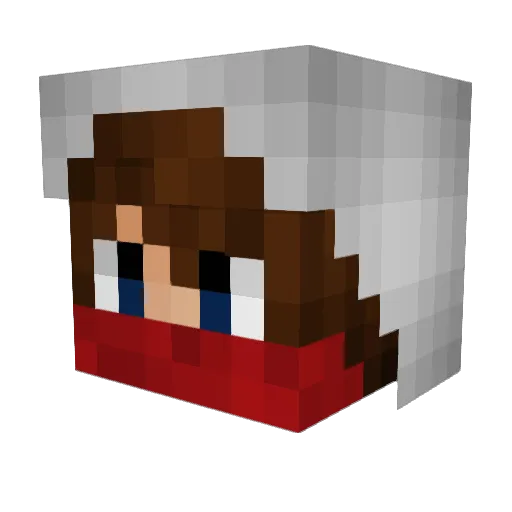 ChaosNinja66 Minecraft avatar head, 3D render