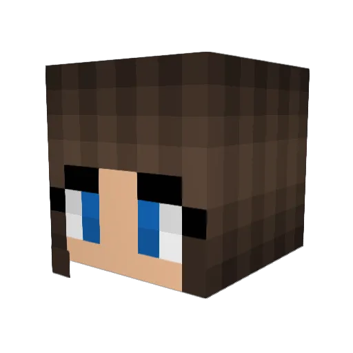ChaosPenguin Minecraft avatar head, 3D render