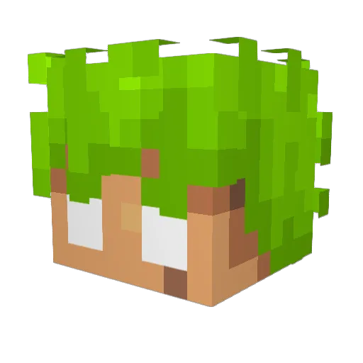 ChaosPhd Minecraft avatar head, 3D render