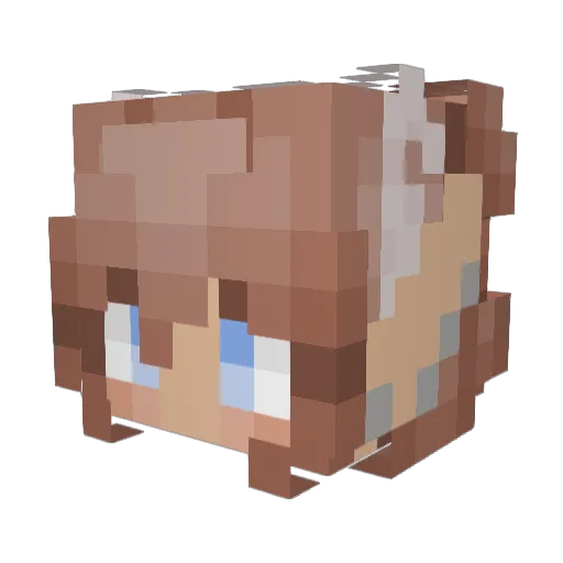 ChaosPixie00 Minecraft avatar head, 3D render