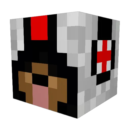 Chaosfitzband Minecraft avatar head, 3D render