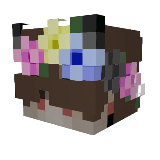 ChaoticDreamer5 Minecraft avatar head, 3D render