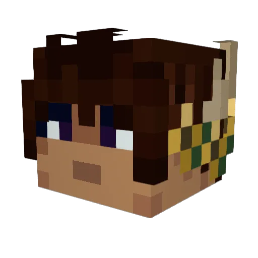 ChaoticFry Minecraft avatar head, 3D render