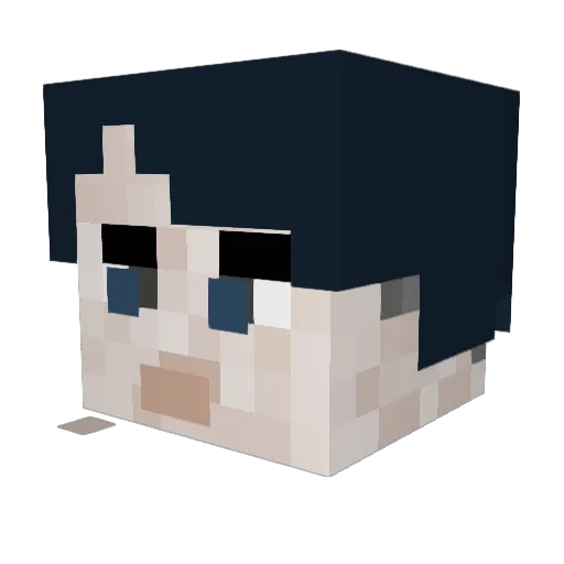 ChaoticRabbit3 Minecraft avatar head, 3D render